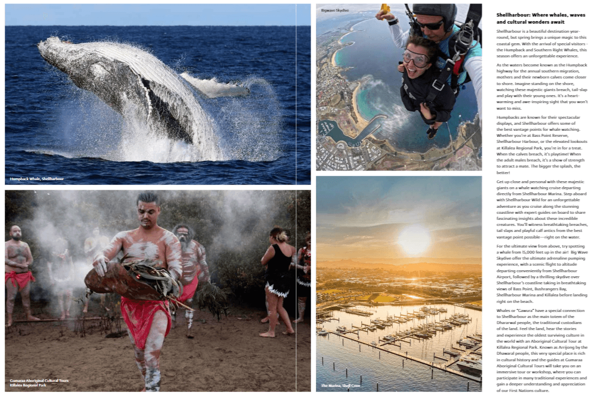 Skydiving_Shellharbour